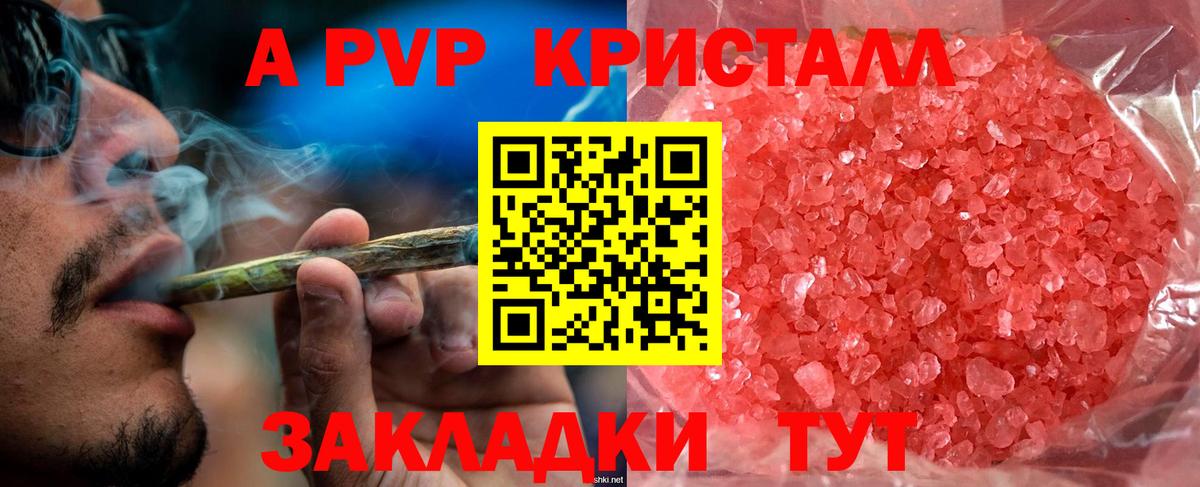Альфа ПВП СК КРИС Бийск